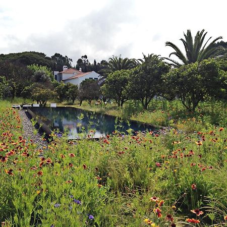 Quinta Do Miguel Villa Aldeia do Meco Eksteriør billede