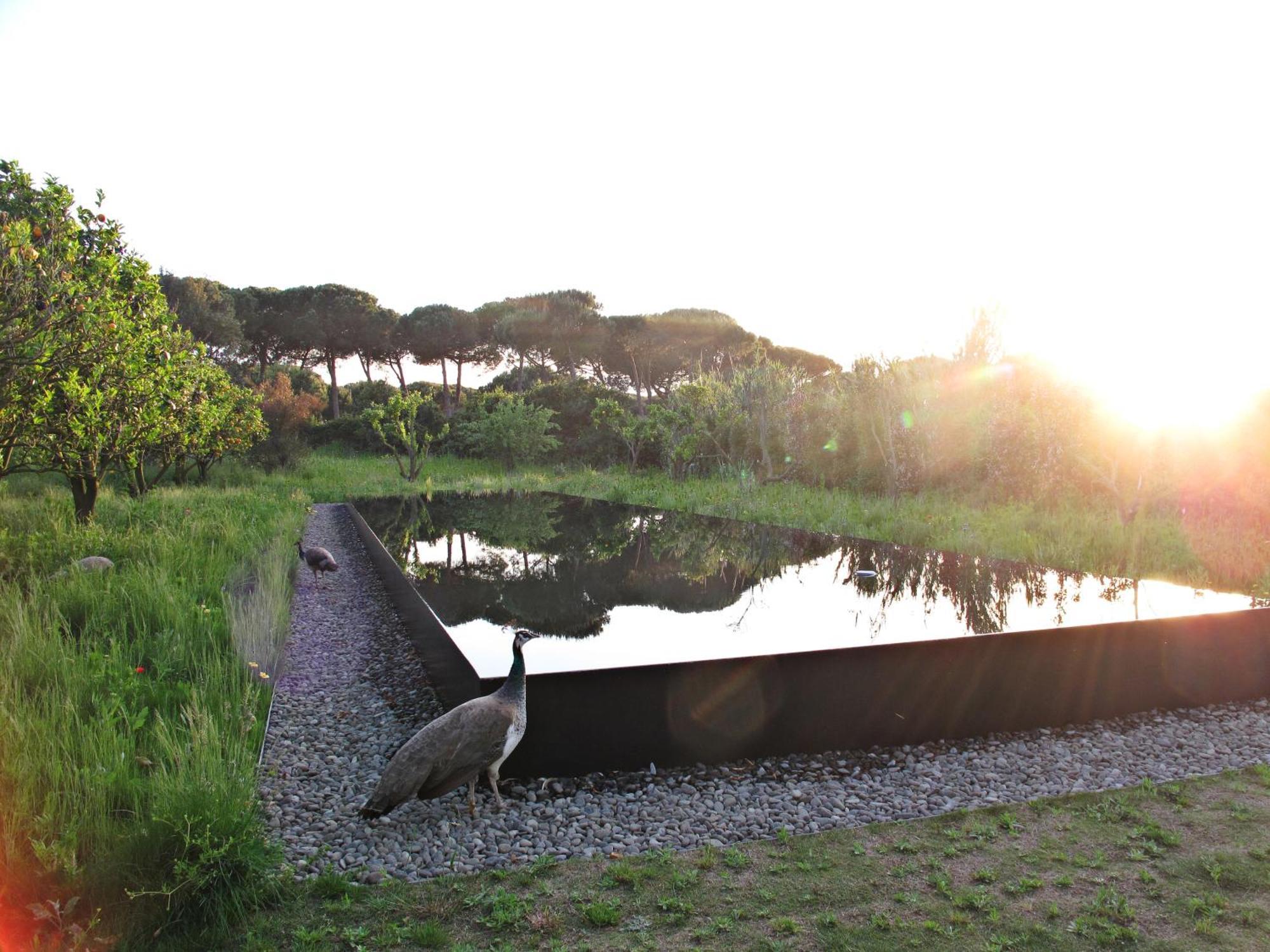 Quinta Do Miguel Villa Aldeia do Meco Eksteriør billede