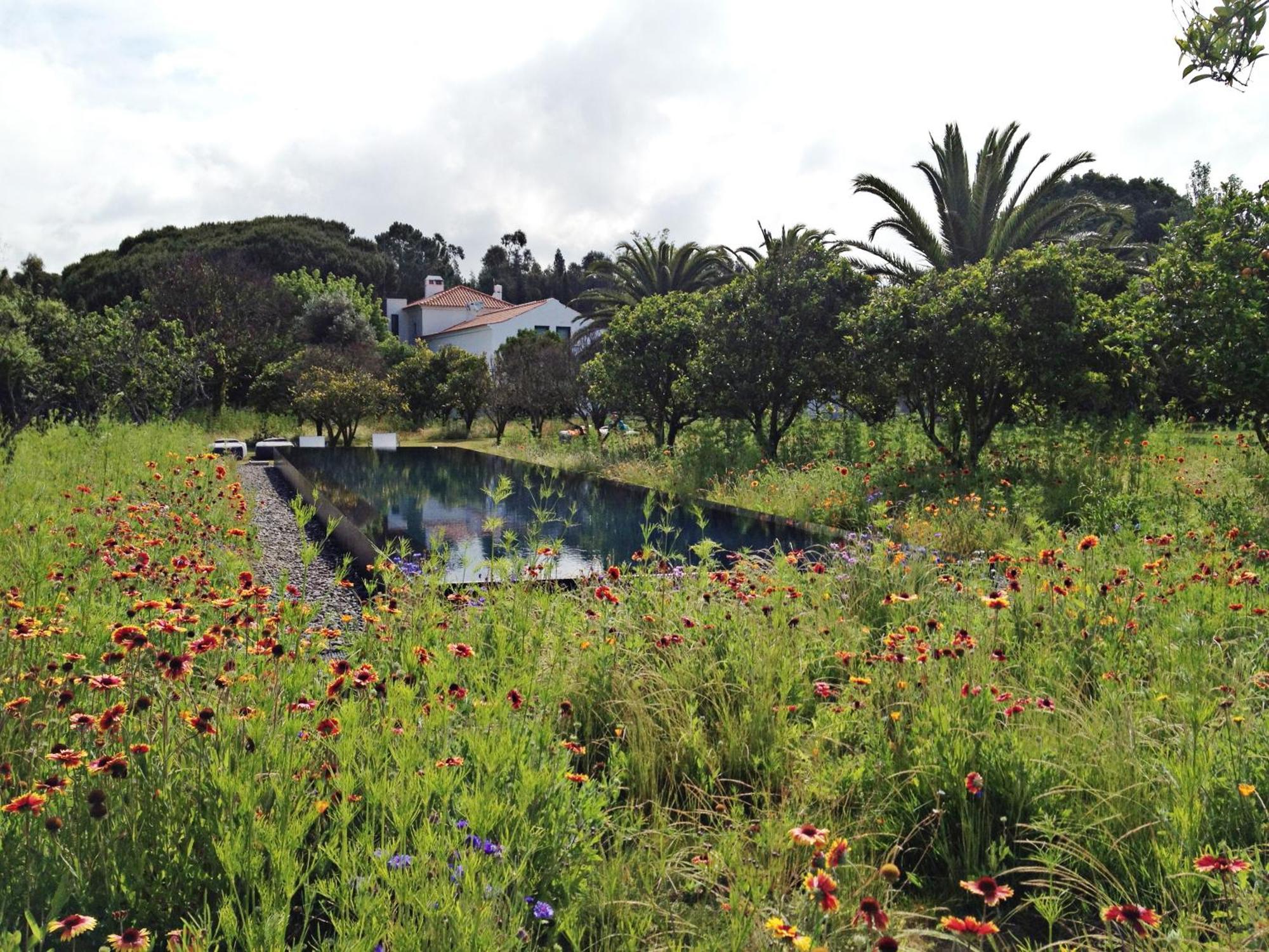 Quinta Do Miguel Villa Aldeia do Meco Eksteriør billede